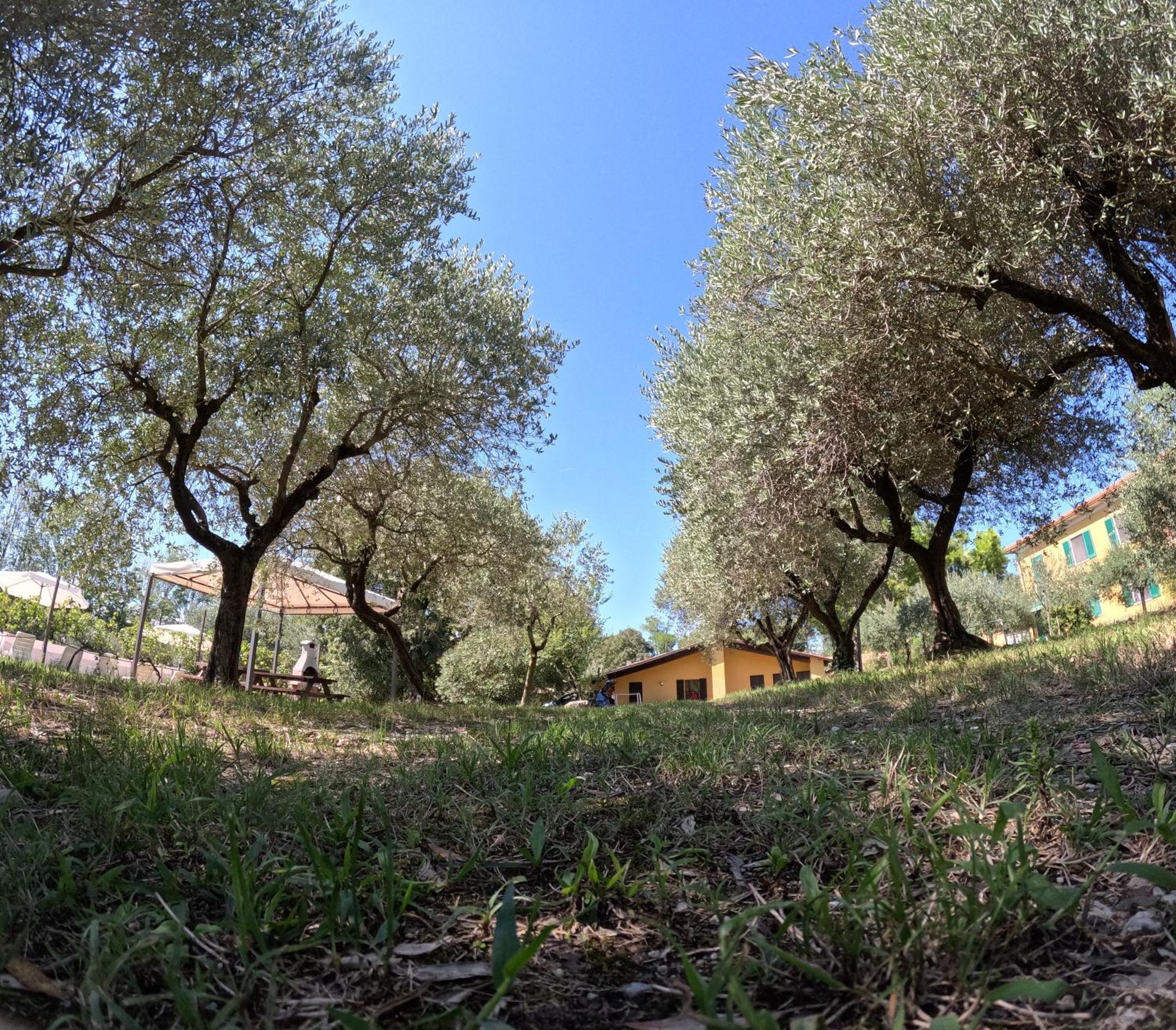Agriturismo Gardenali Вольта-Мантована Номер фото